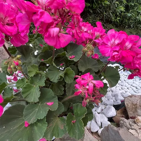 A Casa Mia Sperlonga